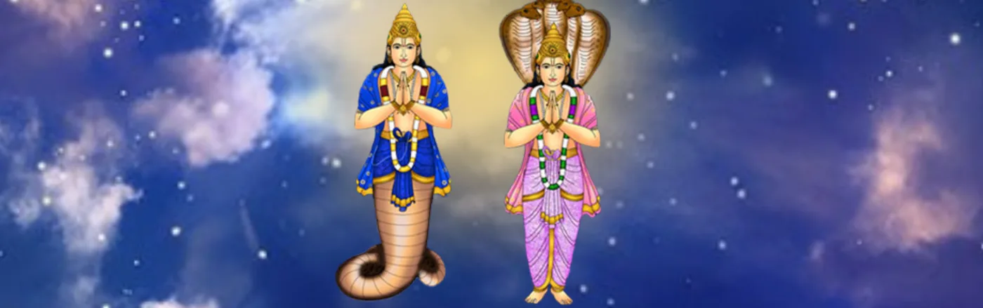 Rahu Ketu Transit Pooja - Rahu Ketu Peyarchi Homam 2026-2028