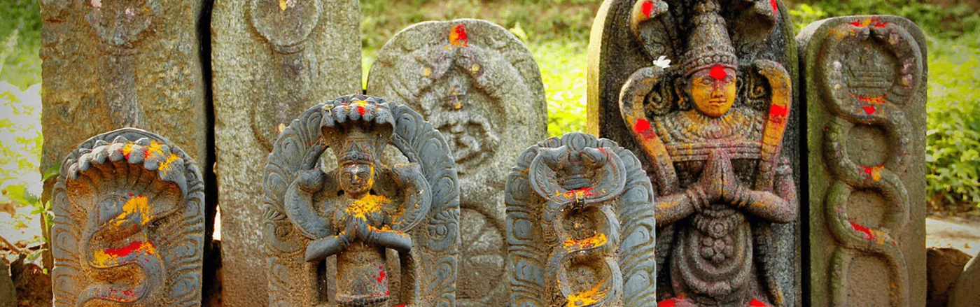 Naga Pooja - Traditional Naga Devata pooja with family Sankalpam