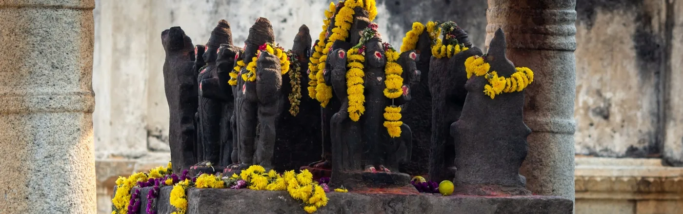 Navagraha Homam - Traditional Vedic homam for the nine planetary deities